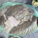 완도수산회 | 안산 단원구 최고의 회 맛집 완도수산회 :: 가성비 최고의 맛집