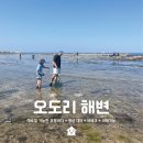 칠포1리 해변 화장실 | 해루질 가능한 포항바다_ 오도리해변 평상대여 후기