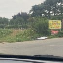 신우목장 | 신우목장 허접후기 및 정보글 (꿀팁有)