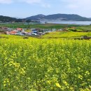 산들바다마을 이미지