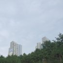 사임당로공원 내 티스토리