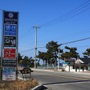 낭만고등어 이미지