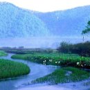 [ 이제는 ] - 2009년 「새시대시조」 가을호, 계간평 - 작품의 상식적인 비유, 발표의 신중성, 책임성 - 박영교(시조시인) 이미지