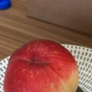 동이국시