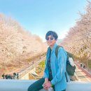 Re: [260408]피피의 포비든앨리_#양재천의 봄... 이미지