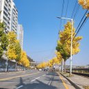 다전초 앞 도로 이미지