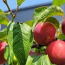 억만농장 이미지