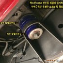 젤리스프링 이미지