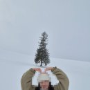 준독 | 삿포로 3박4일 투어 '흰그림자' 솔직 후기