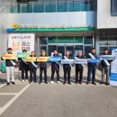 정선군선거관리위원회 이미지