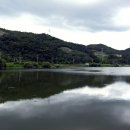 용소지 Daum카페