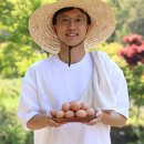 숲에서 온 유정란 | 놓치면 후회하는 시골다리 난각번호 1번 유정란 41% 할인 특가