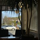 옥암성당 | [목포 카페] 시그니처 음료와 에그타르트가 맛있는 카페 “스텝업” 추천!