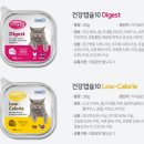 정DENTAL 네이버블로그