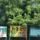 해송펜션 | 서천 - 1박2일 촬영지 해송펜션 방문후기🧡