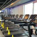 올타임휘트니스 이미지