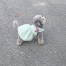 중랑차동물병원 이미지