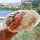 중앙로4가 | 제주 올레시장 갓성비 회 맛집 &#39;우정회센타&#39; 4가지회 25,000원 추천ㅣ내돈내산