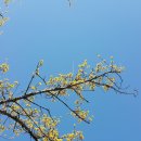 달전회관 이미지