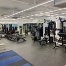 휘트니스 에일린 이미지