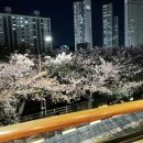 삼바리재송점 이미지