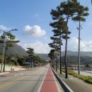 예향의 숲 이미지