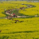 낙동강변3 이미지