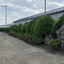 갈매농장 이미지