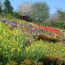 월드허브 이미지