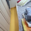 라임동물약품 이미지