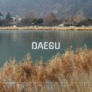 상동 469 | 대구 수성못 산책 시티투어버스 당일치기 여행