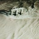 완도10호 이미지