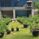 흥동 농장 이미지