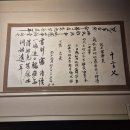 (유)성심택시 | 과천 추사박물관 가는길 주차 관람시간