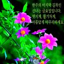 금요일 이미지