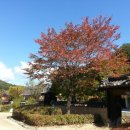 용인해피트리펜션 이미지