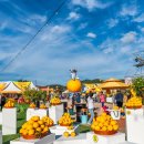 고흥바다하우스 이미지