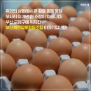 부산계란유통협동조합