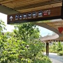 리버퀘스트 | 싱가포르 가볼만한곳 리버 원더스 아마존 리버 퀘스트 추천