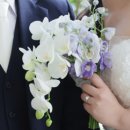 웨딩스튜디오촬영 생화 예약 후기_이플랜트