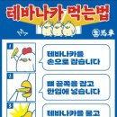 생마차천안