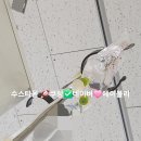 척시원병원 이미지