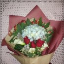 샤론의꽃 이미지