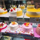 파리바게트 운서점 이미지