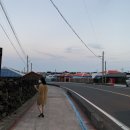 하도하도1929 이미지