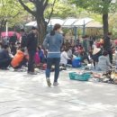 YMCA 녹색장터 이미지