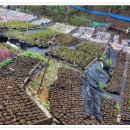 유목농장 이미지