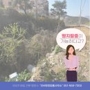 SM행정사사무소 이미지