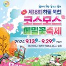 제18회 하동 북천 코스모스 메밀꽃 축제 (경남 하동군 북천면 직전리 꽃단지 일원) 이미지