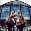 신성화로(3-215) 이미지